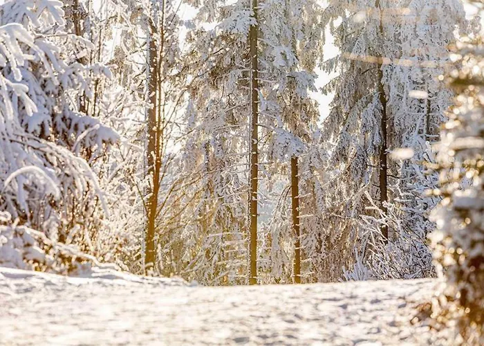 Cafe-pension Kristall Gæstehus 3*